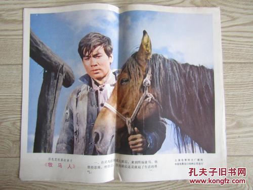 高仿台湾驾驶证